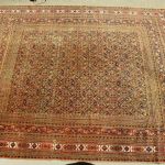 909 5082 ORIENTAL RUG